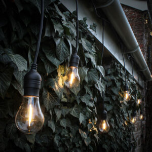 5M CONNECTABLE HEAVY DUTY HANGING FESTOON LIGHTS - 10 BLACK BULB HOLDERS